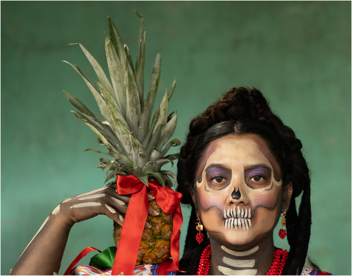 Redin Kathy Katrina with Pineapple Pictorial   Class A 20260121